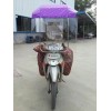 湖南金馬車篷，全不銹鋼骨架，堅固耐用美觀，