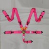 貨物捆綁帶/貨網(wǎng)帶/輪胎固定帶/賽車帶